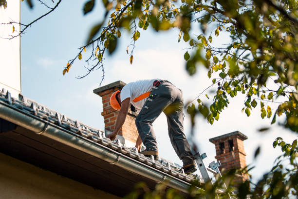 Best Roof Maintenance Services  in Pinckney, MI