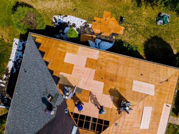 Best Local Roofing Companies  in Pinckney, MI