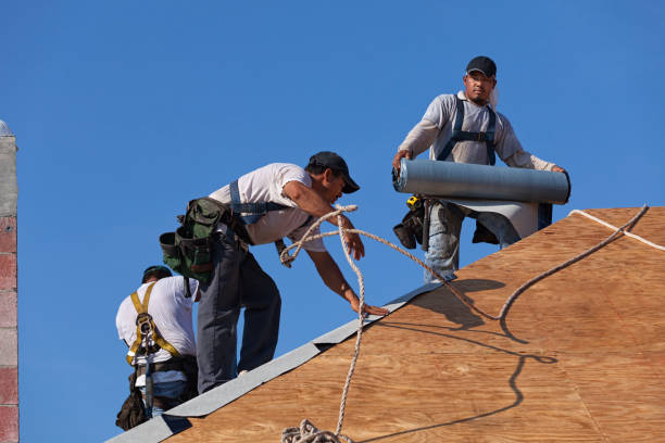 Best Gutter Installation and Roofing  in Pinckney, MI