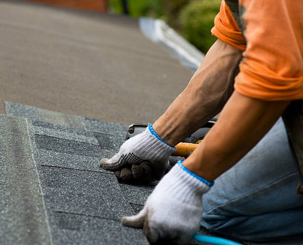 Best Flat Roof Repair Services  in Pinckney, MI