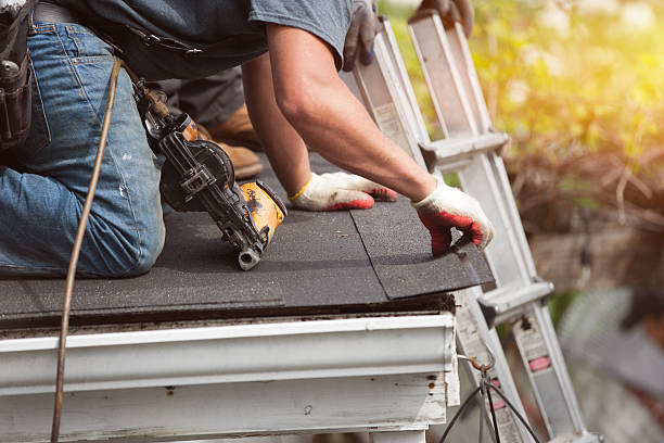 Best Storm Damage Roof Repair  in Pinckney, MI