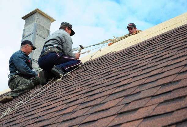 Best Slate Roofing Contractor  in Pinckney, MI