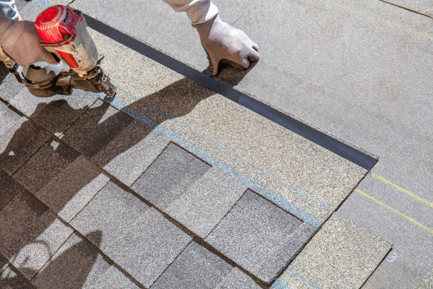 Best Roof Repair Services  in Pinckney, MI